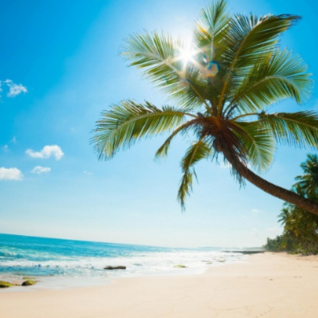 THE EDIT: WANDERLUST
