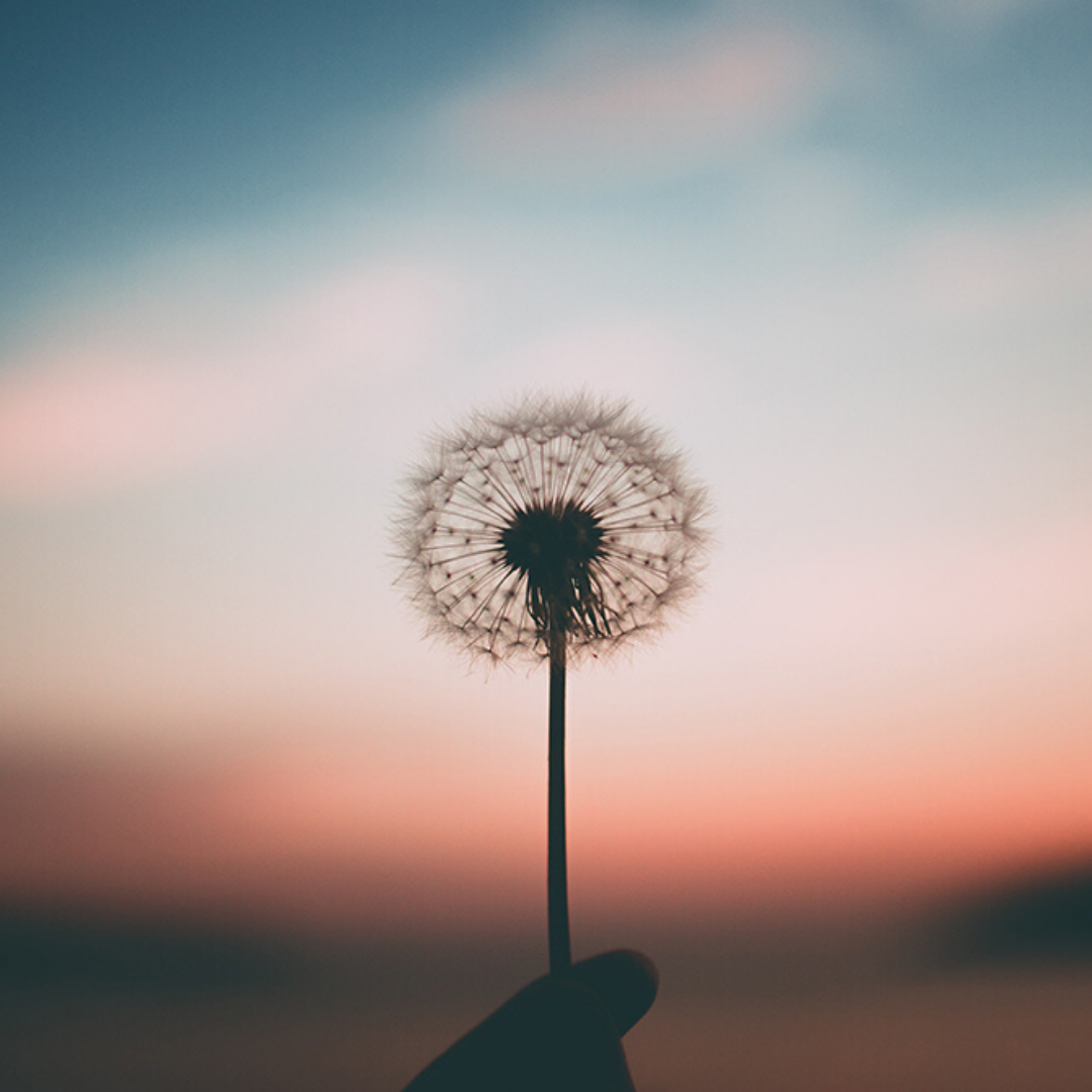GRACE'S MUSINGS: AGEING BY NUMBERS