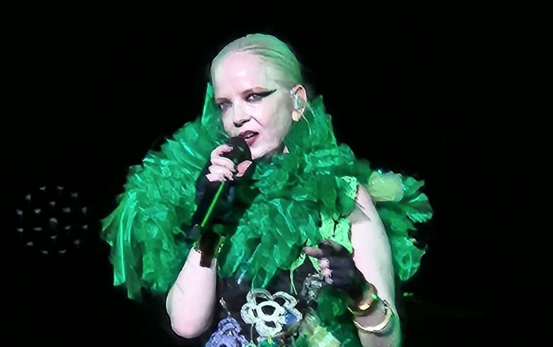 Grace's Musings: Shirley Manson won’t be put in her place