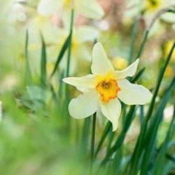 THE EDIT: SPRING FEVER