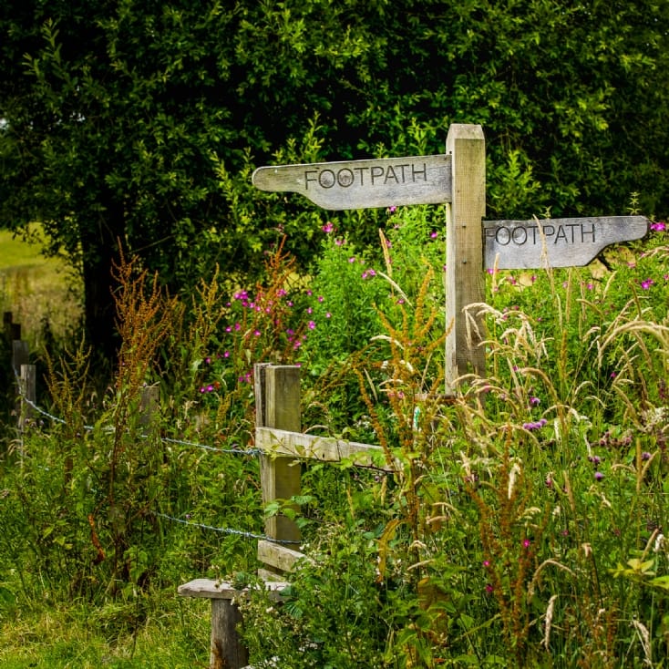 GRACE'S MUSINGS: THESE DAYS ARE MADE FOR WALKING