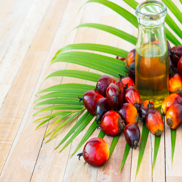 PALM OIL: WHY ENFORCING RESPONSIBLE SOURCING BEATS A BAN